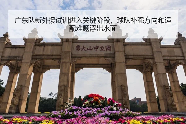 广东队新外援试训进入关键阶段，球队补强方向和适配难题浮出水面 - 新闻资讯相关报道缩略图